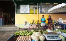 "Nous, gens de la terre": Dispositif spécial du Pôle Outre-Mer de France Télévisions à partir du 22 février