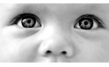 Litterature: "Recta Linea" le nouveau roman d'Emmanuel de Reynal