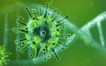 La Guadeloupe à l’épreuve du COVID-19 : retour sur un an de crise le 17 mars sur Guadeloupe La 1ère