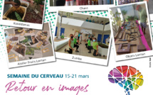 Semaine du Cerveau: une première édition réussie pour France Alzheimer Réunion