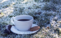 Routine quotidienne : les bonnes astuces à adopter