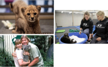 "Un été au zoo" dés le 5 juillet sur Discovery Family