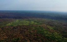 L'amazonie à l'honneur dans un documentaire inédit, écrit et raconté par Fabrice d'Almeida sur le Portail Outre-Mer La 1ère