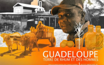 Le Rhum Guadeloupéen bientôt à l'honneur sur Canal+