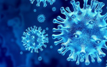 COVID-19: Émission spéciale, la 4ème vague en direct sur les trois antennes de Guadeloupe La 1ère