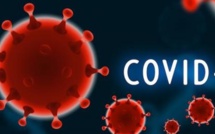 COVID-19: Conférence publique et le point presse du préfet à suivre en direct ce mercredi sur Guadeloupe La 1ère