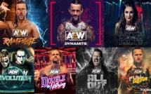 Toonami : diffusion du show de Catch "Battle of the Belts" le 16 janvier