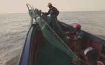 Cayenne (Guyane) sous le prisme maritime dans un documentaire inédit, le 17 janvier sur France 3 et le Portail Outre-Mer La 1ère