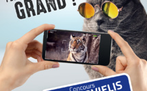 Nouvelle-Calédonie: Le concours Movielis 2022 de retour sur le thème de l'invisible