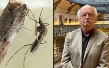 L'histoire de l’homme et du moustique au coeur d'un documentaire évènement avec Erik Orsenna, le 30 mai sur France 3 et le Portail Outre-Mer La 1ère