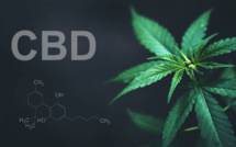L'histoire du CBD légal en Europe