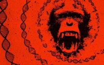 Le film documentaire évènement "L'avènement des hommes-singes" diffusé ce mardi sur Discovery Channel