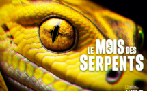 En mars, les serpents sont à l’honneur sur National Geographic Wild