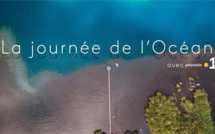 Une programmation TV spéciale dédiée à la Journée de l'Océan, le 8 juin sur Polynésie La 1ère