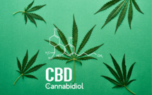 Des alternatives saines pour tirer le meilleur parti du cannabidiol