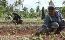 Le documentaire inédit "Les pionnières de Mayotte", diffusé le 2 octobre sur France 3 et la1ere.fr