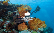 Nouvelle-Calédonie : 24 000 km2 de lagon protégé à découvrir au Salon de la Plongée 2024 !
