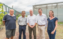 Agrivoltaïsme : 15 ans d’expérience réunionnaise ont permis de créer une filière qui s’impose en Europe 