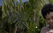 La monoparentalité en Guadeloupe au coeur d'un documentaire, ce lundi sur France 3