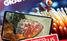 Nouvelle-Calédonie: Le concours Movielis 2024 de retour sur le thème du "tourbillon" (Maj)