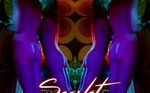 SCARLET BLUE : Le succès au rendez-vous pour le nouveau film d'Aurélia Mengin !