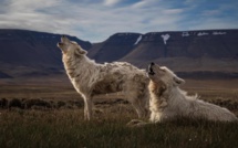 La semaine de la Terre, du 20 au 25 avril sur Nouvelle-Calédonie La 1ère