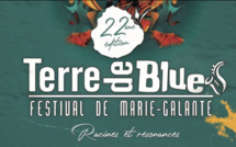 22ème édition du festival Terre de Blues : Guadeloupe La 1ère présente son dispositif