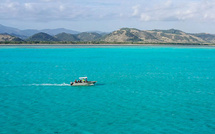 Cap en Nouvelle-Calédonie pour les équipes de Wildlive Expeditions, ce vendredi sur Ushuaïa TV