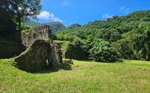 De nouveaux modules dans les éditions d'information de Martinique La 1ère