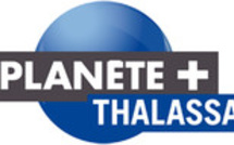 Arrêt de diffusion pour Planete+ Thalassa