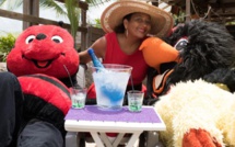 Programme TV: Les programmes forts de Martinique 1ère (Du 19 au 25 Décembre)