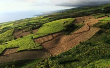 L'île de la Réunion au programme de Passion Outre-Mer, ce dimanche sur France Ô