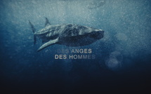 Semaine de l’Océan sur Nouvelle-Calédonie la 1ère : une immersion engagée du 2 au 8 juin