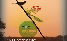 Le FIFAC et DOCMONDE lancent un appel à projets documentaires : à vos pitches !