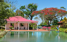 Monument préféré des Français : le Jardin botanique de Valombreuse représentera la Guadeloupe ce mercredi sur France 3