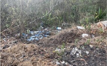 World Clean Up Day 2025 : La Réunion au rendez-vous de la plus grande mobilisation citoyenne mondiale pour la planète