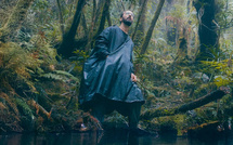 "La forêt d'Émeraude" : une immersion inédite au cœur de la Côte Oubliée de la Nouvelle-Calédonie, le 30 octobre sur Canal+ Calédonie