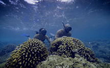 Rāhui, le lagon en partage : la sagesse polynésienne face à l’urgence écologique au coeur d'un documentaire inédit diffusé ce lundi sur France 3