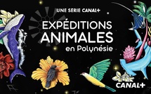 Expéditions Animales sur Canal+ Polynésie : une immersion spectaculaire au cœur de la faune polynésienne