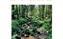 Un recueil de poèmes qui dénonce les héritages coloniaux et célèbre la résistance et la mémoire antillaises