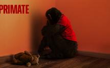 Paramount Pictures : Les films évènement à ne pas manquer au cinéma en 2026