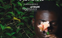 Festival Outre-Mer Veille: Une nouvelle édition dédiée à la création martiniquaise