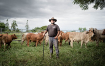 Salon international de l’agriculture 2026 : France Télévisions met en lumière l’agriculture ultramarine