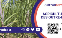 Outremers360 en direct du Village des Outre-mer au Salon International de l’Agriculture 2026