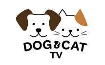 De nouvelles chaînes débarquent dans les Offres Canal+ Caraïbes