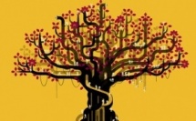 Programmation dévoilée : Le FIFOI 2026 s’apprête à faire rayonner le cinéma de l’Océan Indien