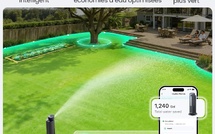 Arrosage intelligent : comment économiser l’eau sans compromettre la santé des plantes