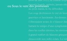 Littérature : un regard lucide sur Mayotte avec Karibou Maoré, le nouveau roman de Jean-Yves Guilleux