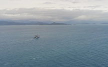 Nouvelle-Calédonie la 1ère met à l’honneur les femmes de la mer avec la série documentaire “À la vie comme à la mer”