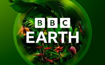BBC Earth accélère son développement en Afrique francophone avec un lancement sur Canal+